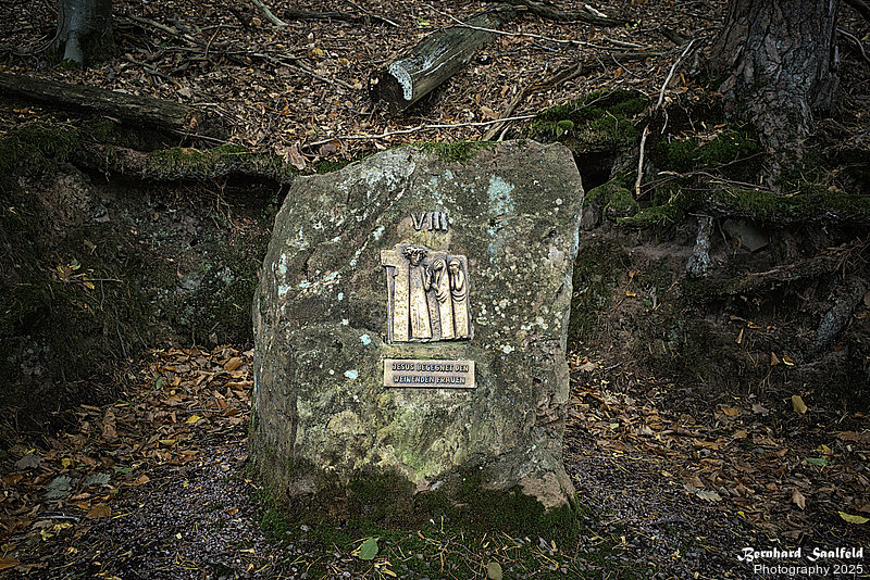 Bernhard Saalfeld - 08 Station
